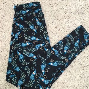 Peacock OS LulaRoe leggings